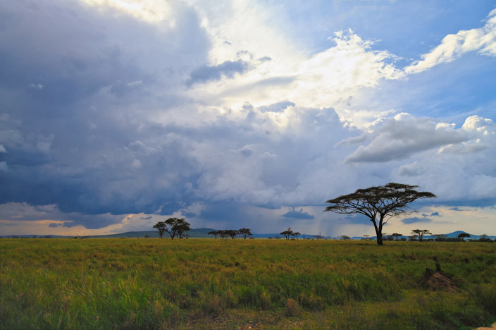 Afrika Tansania Safari Landschaft