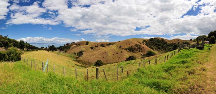 Neuseeland grüne Hügel