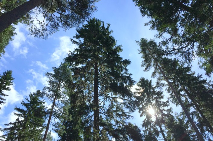 meditation in finnland