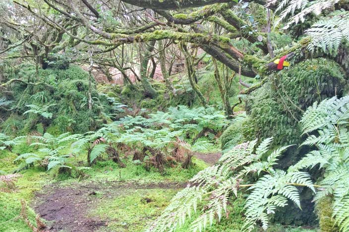 wanderreise azoren terceira misterios negros