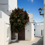 Vejer de la Frontera