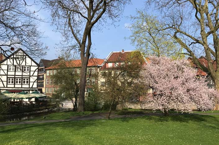 Wolfenbüttel Tipps Park mit Kirschblüte
