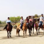 Reiten auf Zypern in der Reitschule Panagiotis Tsaktiris