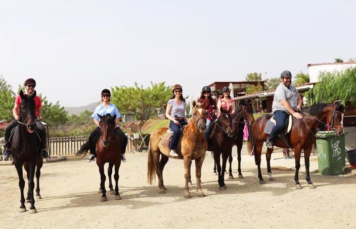 Reiten auf Zypern in der Reitschule Panagiotis Tsaktiris