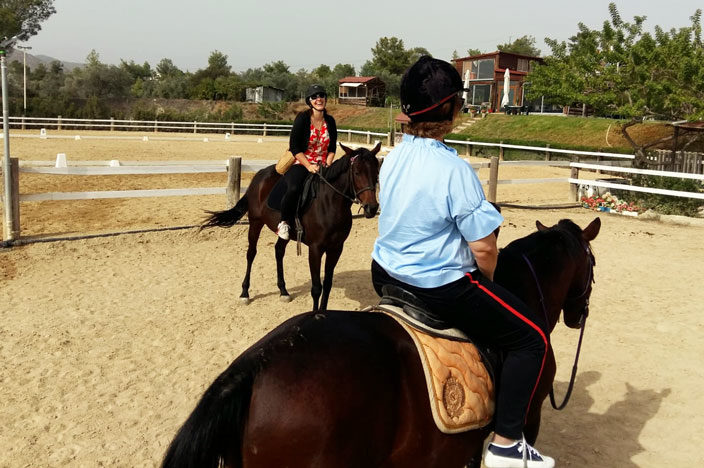 Reiten auf Zypern in der Reitschule Panagiotis Tsaktiris