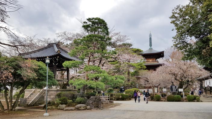 Auf den Spuren der Winkekatze – Gotokuji-Tempel in Tokio