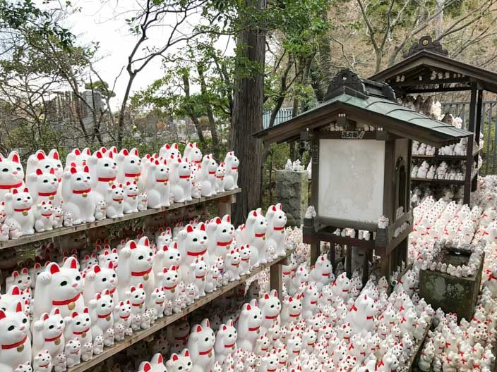 Tempel der Winkekatze: Gotokuj in Tokio