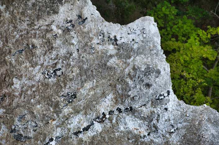 Krijtrotsen Rügen: gedetailleerd beeld van het materiaal