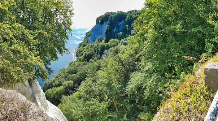 Kreidefelsen Rügen: Schneeweiße Schönheit und Malers Liebling