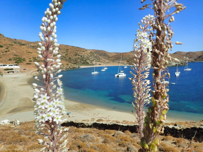 Kolona Bucht vor Kythnos